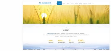 昆明奧遠(yuǎn)科技 專業(yè)網(wǎng)站建設(shè)與新媒體運(yùn)營服務(wù)商